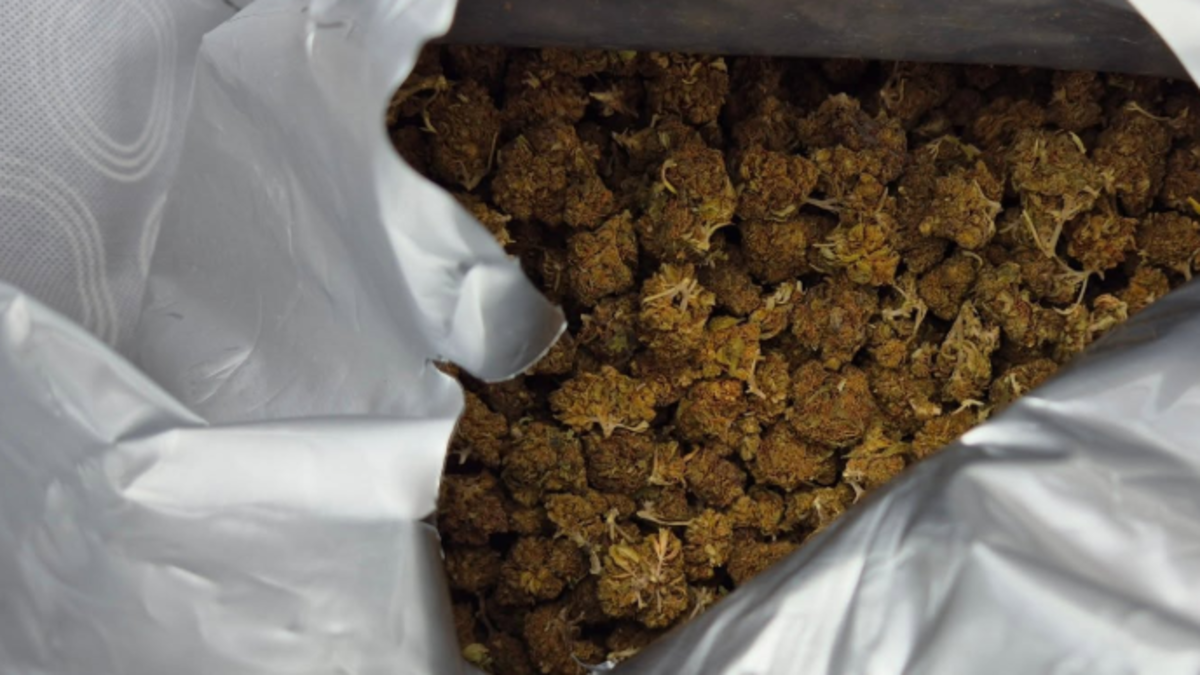 Ruim 40 kilo softdrugs in woning Den Oever, man (33) uit Hollands Kroon